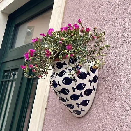 Casa vacanze Donna Serena Aci Castello